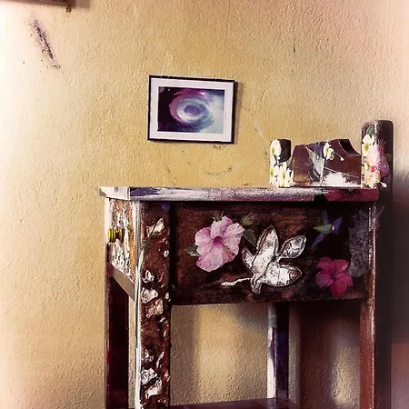 Olga 2* Portariá